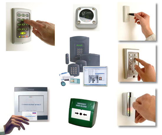 Placeholder portfolio image